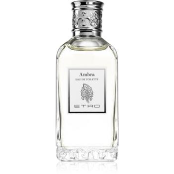 Etro Ambra Eau de Toilette unisex 100 ml