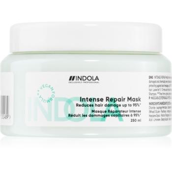 Indola Repair Intense Repair Mask mască fortifiantă pentru par foarte deteriorat 250 ml