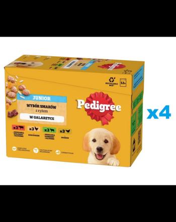 PEDIGREE Junior Pachet hrana umeda pentru catei, sortiment mixt 48x100g