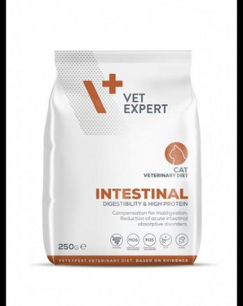 VET EXPERT Veterinary Diet Cat Intestinal 250 g hrana dieta pisica cu afectiune intestinala