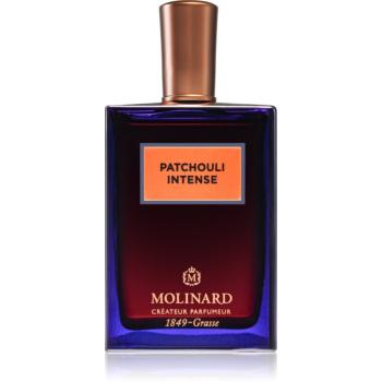 Molinard Patchouli Intense Eau de Parfum pentru femei 75 ml