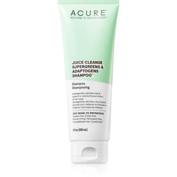 ACURE Juice Cleanse Supergreens & Adaptogens sampon energizant pentru par si scalp deteriorat 236 ml