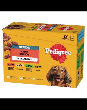 Hrana umeda PEDIGREE Senior 12x100 g 4 sortimente in jeleu