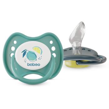 Baboo Soothers Silicone Orthodontic with Case suzetă Lagoon Fiesta 6-12 m 2 buc