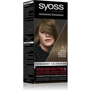 Syoss Color Culoare permanenta pentru par culoare 6_1 Natural Dark Blond 1 buc