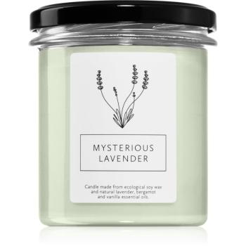 Hagi Mysterious Lavender lumânare parfumată 230 g