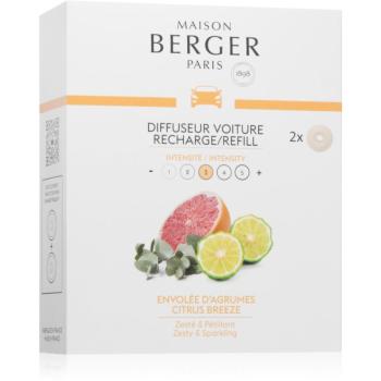 Maison Berger Paris Citrus Breeze vôňa do auta náhradná náplň 2x17 g