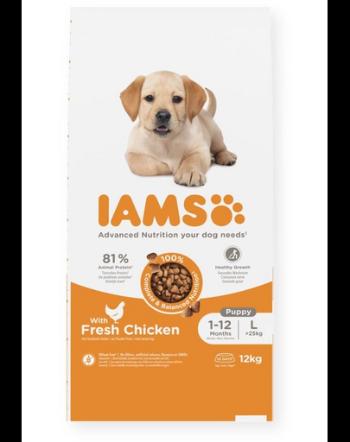 IAMS Advanced Nutrition Puppy Junior Large Breed Chicken 12 kg hrana catei talie mare