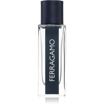 Ferragamo Ferragamo Eau de Toilette pentru bărbați 30 ml