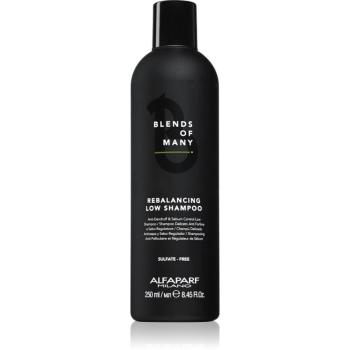 Alfaparf Milano Blends of Many Rebalancing sampon anti-matreata 250 ml