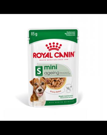 ROYAL CANIN Mini Ageing 12+ hrana umeda in sos pentru caini maturi de peste 12 ani, rase mici 24x85 g