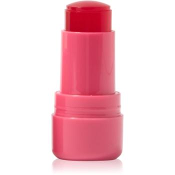 Technic Cosmetics Jelly Tint pirosító stick az arcra és a szájra árnyalat Red Hot 9 g
