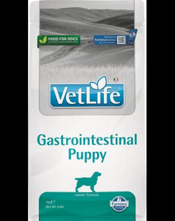 FARMINA Vet Life Gastrointestinal Puppy, Hrana uscata catei, pentru sistemul digestiv sensibil 2 kg