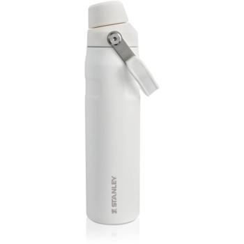 Stanley IceFlow™ Fast Flow Lid Bottle sticlă inoxidabilă pentru apă Frost 600 ml