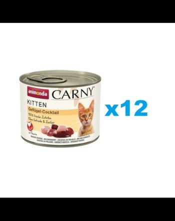 ANIMONDA Carny Kitten Poultry Cocktail 12x200 g hrana pisoi, cocktail de pasare