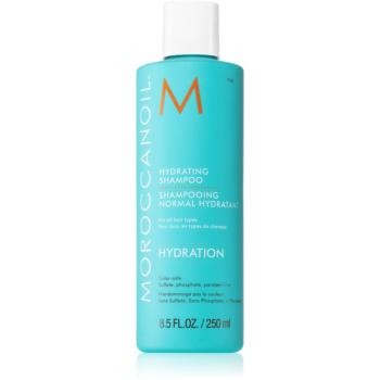 Moroccanoil Hydration sampon hidratant cu ulei de argan 250 ml