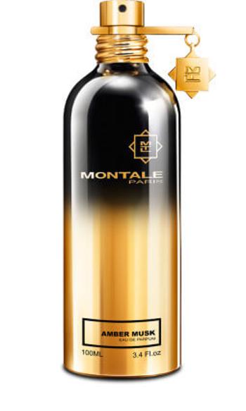 Montale Amber Musk - EDP 2 ml - mostră cu pulverizator