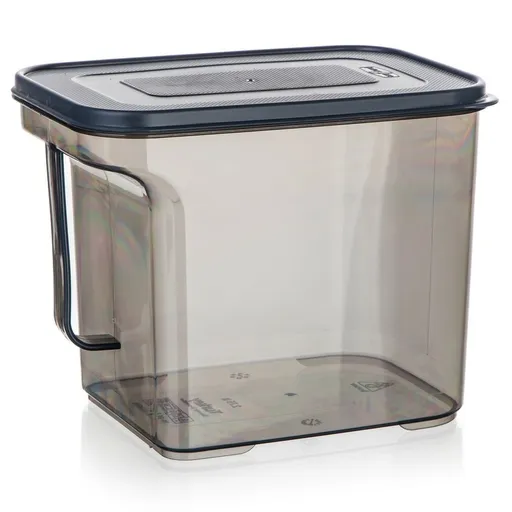 Banquet Cutie de depozitare cu mâner ZOYA 2,75 l,fumurie, 2,75 l