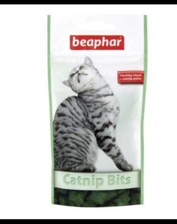 BEAPHAR Catnip Bits Recompense cu iarba matei pentru pisici 35 g