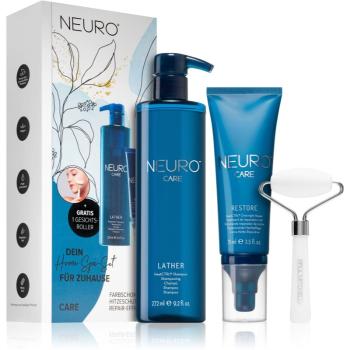 Paul Mitchell Neuro set pentru par intins