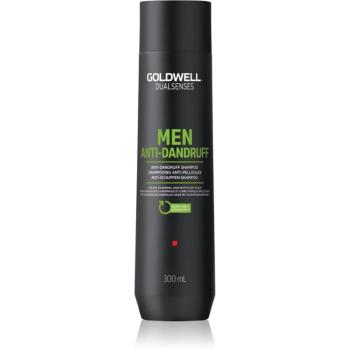 Goldwell Dualsenses For Men sampon anti-matreata pentru barbati 300 ml