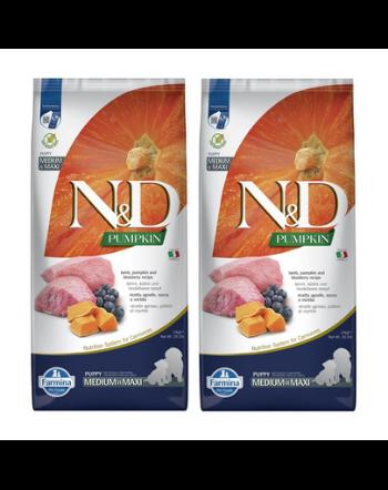 FARMINA N&amp;D GF Puppy Medium&amp;Maxi Pumpkin Lamb&amp;Blueberry hrana uscata catei talie medie si mare, cu dovleac, miel si afine 24 kg (2 x 12 kg)