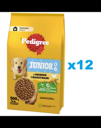 PEDIGREE Junior 12x500 g Set hrana catei talie medie si mare, pasare si legume