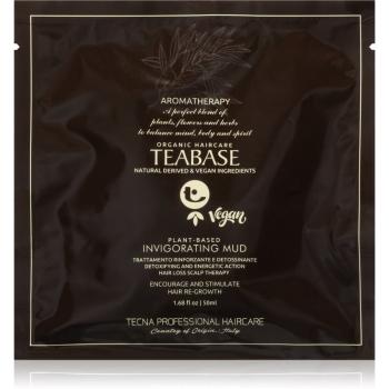 Tecna Teabase Invigorating Mud masca revitalizanta pentru piele sensibila 50 ml