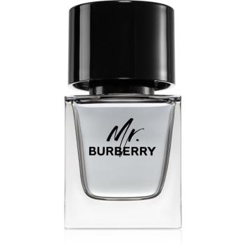 Burberry Mr. Burberry Eau de Toilette pentru bărbați 50 ml