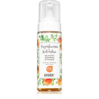 Anwen Peach & Coriander spuma de curatat pentru scalp sensibil si uscat 170 ml