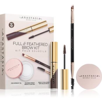 Anastasia Beverly Hills Full & Feathered Brow Kit Mini kit pentru sprâncene culoare Medium Brown