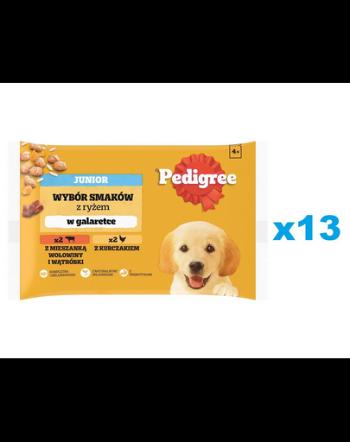 PEDIGREE Junior Set plicuri hrana catei, cu vita si ficat si orez, cu pui si orez, in aspic 52x100g