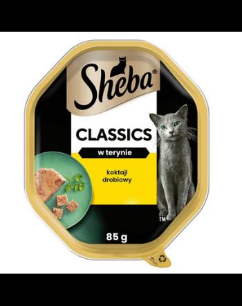 SHEBA Classics Hrana umeda pentru pisici, pate cu pasare de curte 85g