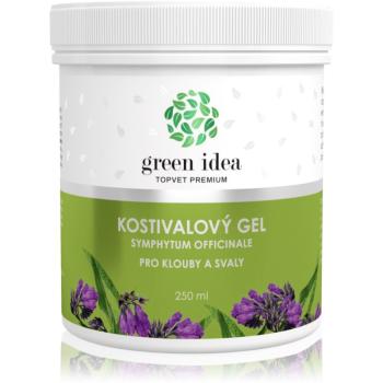 Green Idea Kostivalový gel gel pentru masaj muschii si articulatiile 250 ml