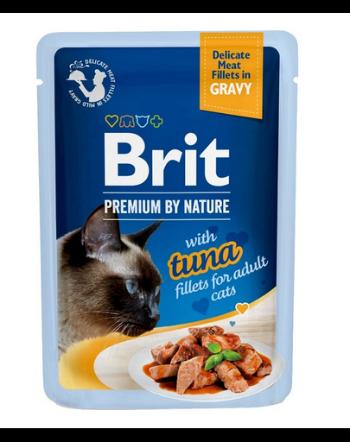 BRIT Premium Cat Fillets in Gravy 24x85g file ton in sos hrana pisica