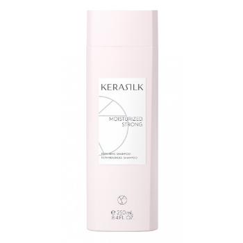 Goldwell Șampon regenerant pentru părul deteriorat Kerasilk (Repairing Shampoo) 250 ml
