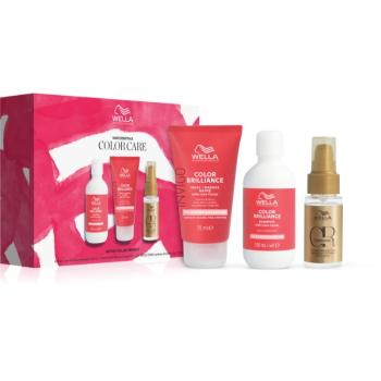 Wella Professionals Invigo Color Brilliance set cadou pentru protecția culorii Spring