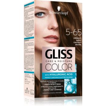 Schwarzkopf Gliss Color Culoare permanenta pentru par culoare 5-65 Chestnut Brown 2x60 ml