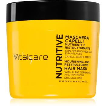 Vitalcare Professional Nutritive masca hranitoare efect regenerator 500 ml