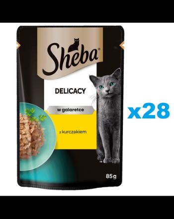 SHEBA Delicacy pui in aspic 28x85 g hrana pisici adulte