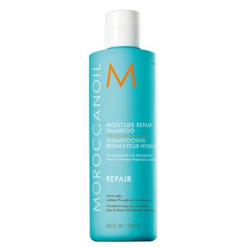 Moroccanoil Șampon pentru regenerarea uleiului argan pentru părul slab și deteriorat ( Moisture Repair Shampoo) 250 ml