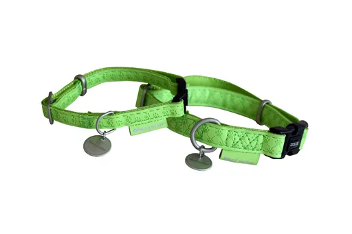 Zgardă pentru câini MAC LEATHER portocaliu