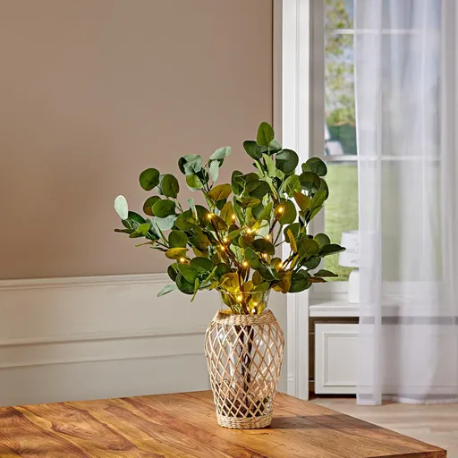 2 Ramuri de eucalipt cu LED