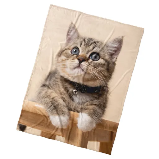 Pătură pentru copii BedTex Pisicuță Zornăitoare, 150 x 200 cm