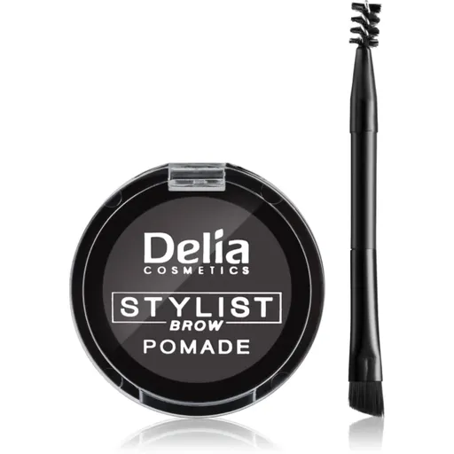 Delia Cosmetics Eyebrow Expert pomadă pentru sprâncene culoare Graphite 4 g