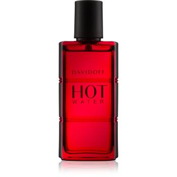 Davidoff Hot Water Eau de Toilette pentru bărbați 60 ml