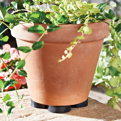 24 picioare pentru ghivece