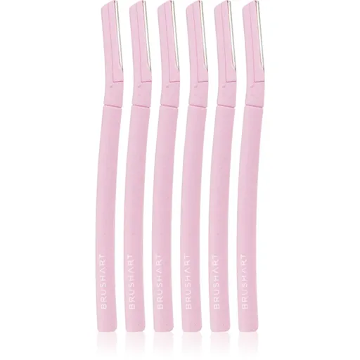 BrushArt Accessories Face