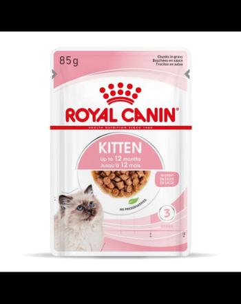 ROYAL CANIN Kitten Instinctive 24x85 g hrană umedă în sos pentru pisoi până la vârsta de 12 luni