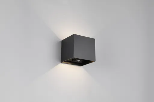 Aplica de perete pentru exterior Genie, RL NOW, 10x10.5x10 cm, 1W, 2x SMD, plastic, negru mat